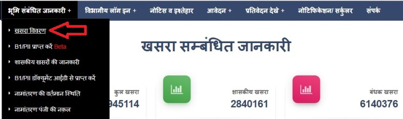 खसरा विवरण छत्तीसगढ़
